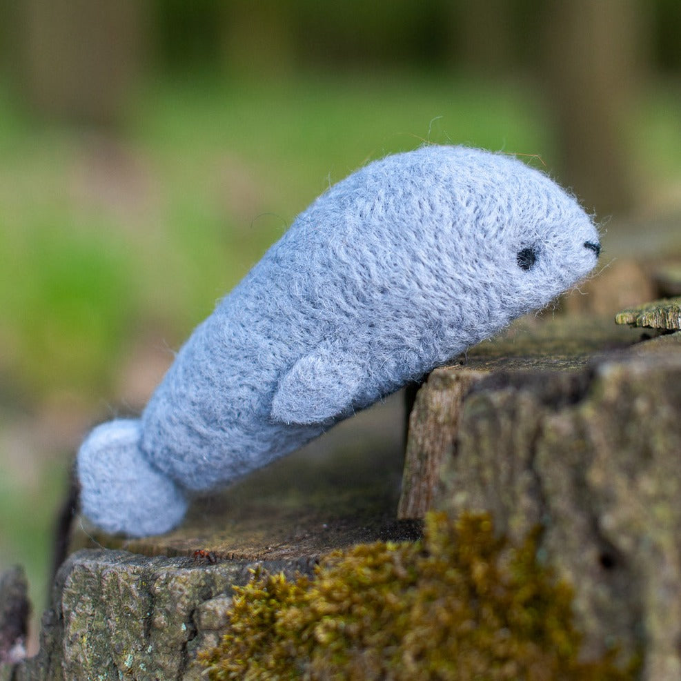 Robbe - Bastelset Filz