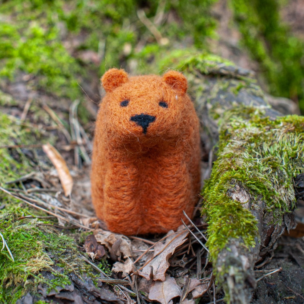 Bär - Bastelset Filz