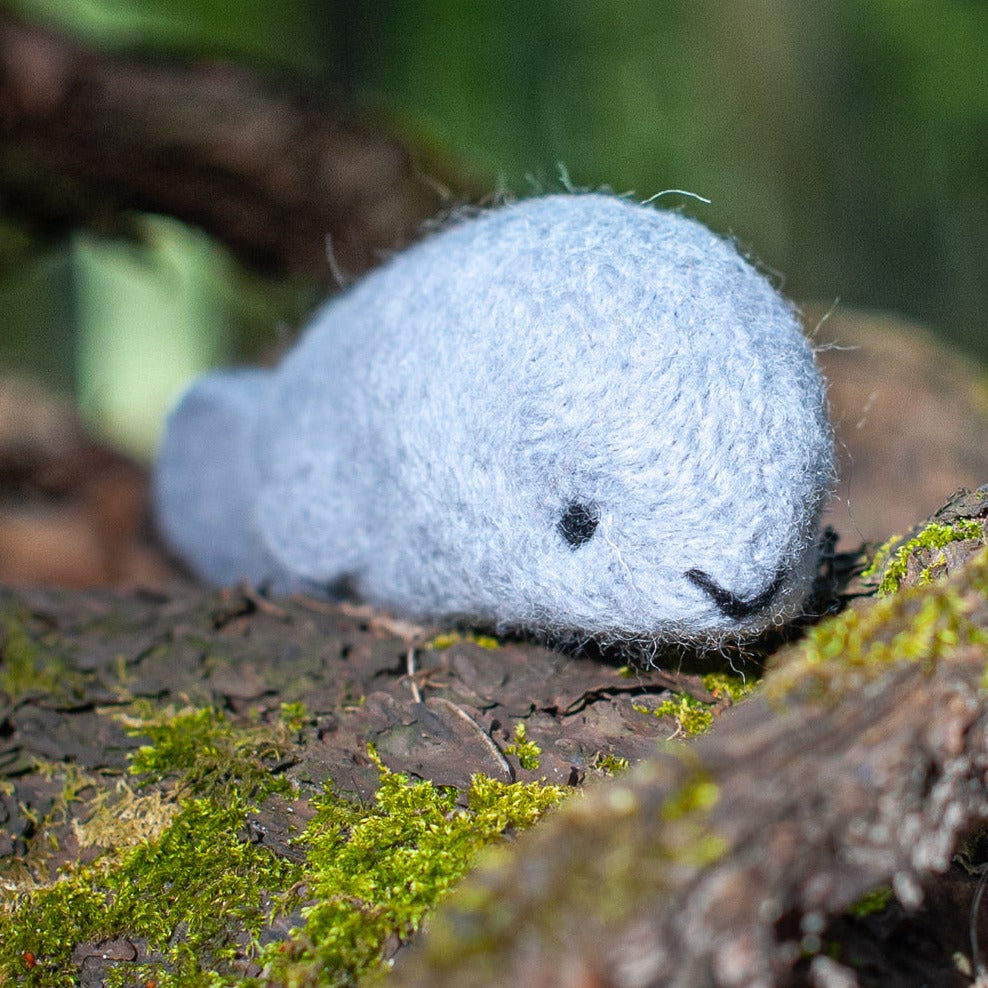 Robbe - Bastelset Filz