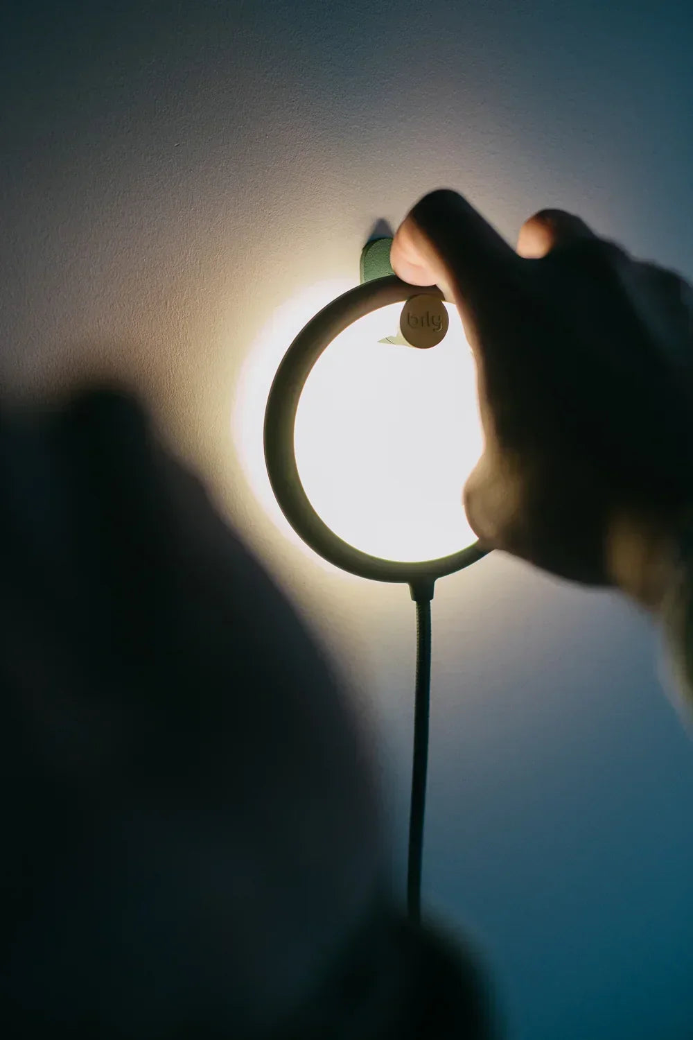 Lampe oiseau avec pied