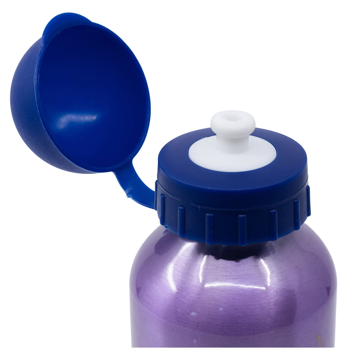 Frozen "Grosse Reise" (400 ml) - Trinkflasche