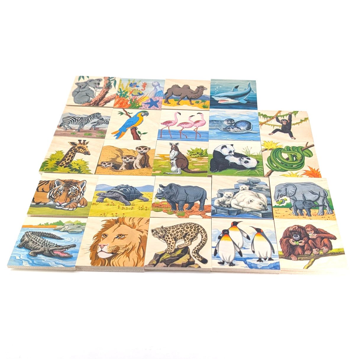 Zoo Memo - Memory Spiel