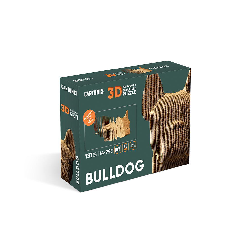Bulldog - 3D Modell aus Karton
