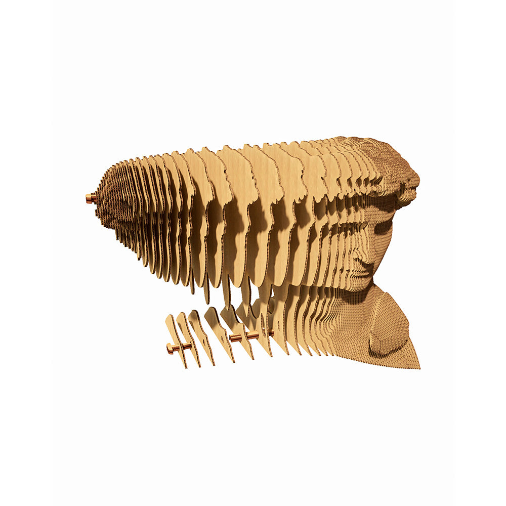David - 3D Modell aus Karton