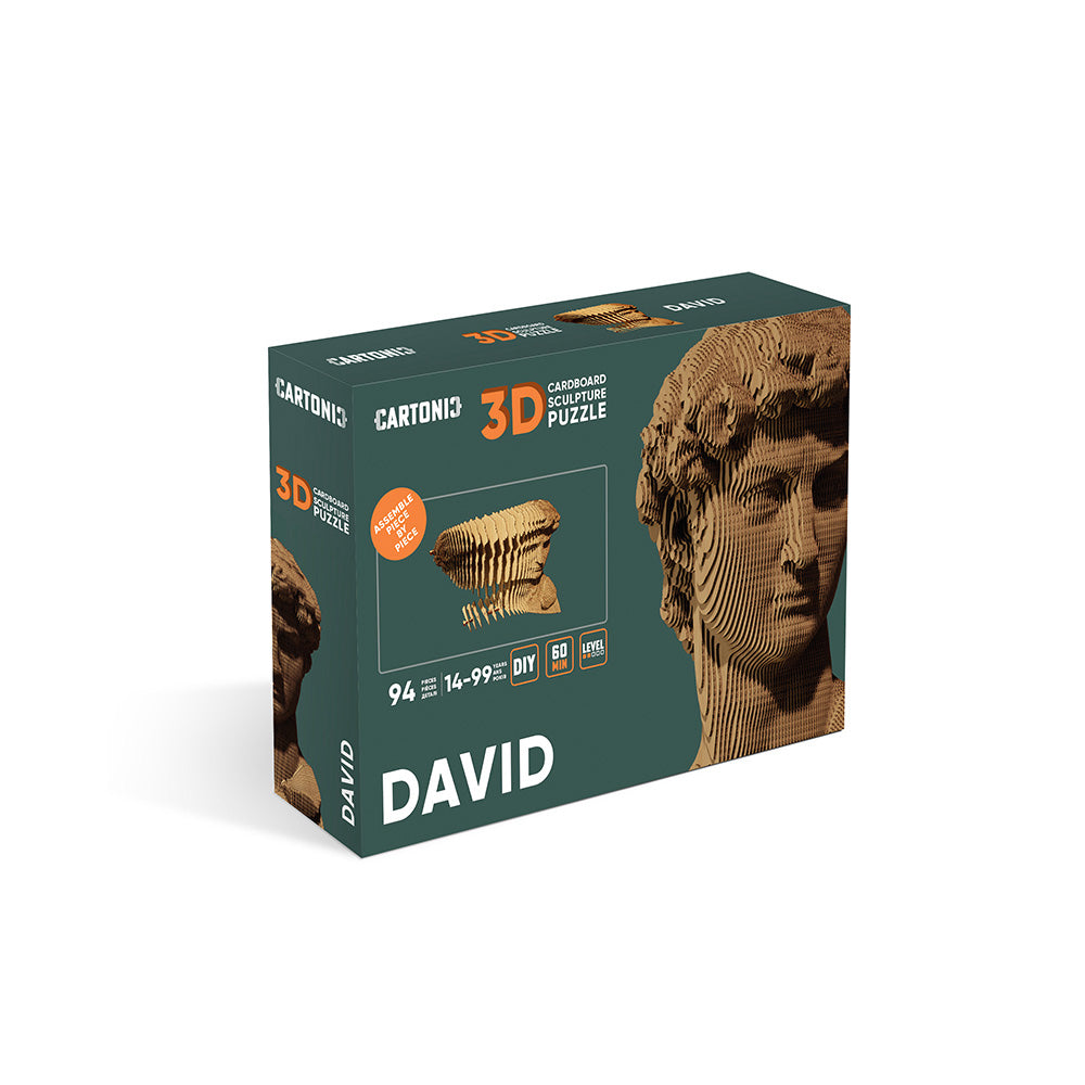 David - 3D Modell aus Karton