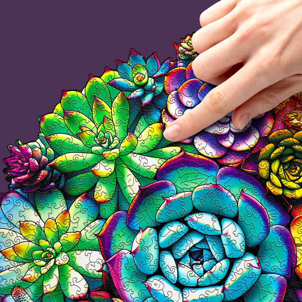 Plantes succulentes (200 pièces) - Puzzle en bois
