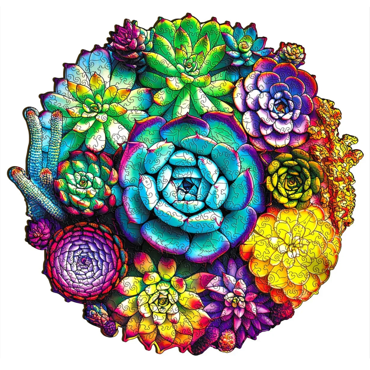 Plantes succulentes (200 pièces) - Puzzle en bois
