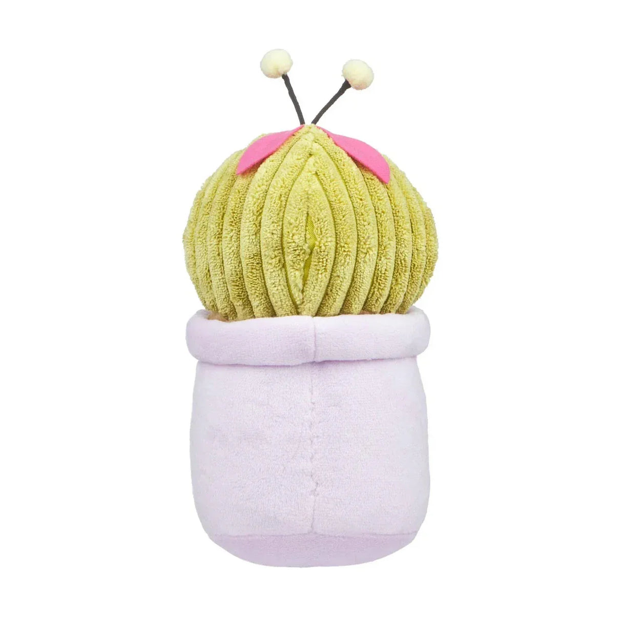 Grüner Kaktus in lila Topf mit rosa Blüten und zwei weißen Antennen