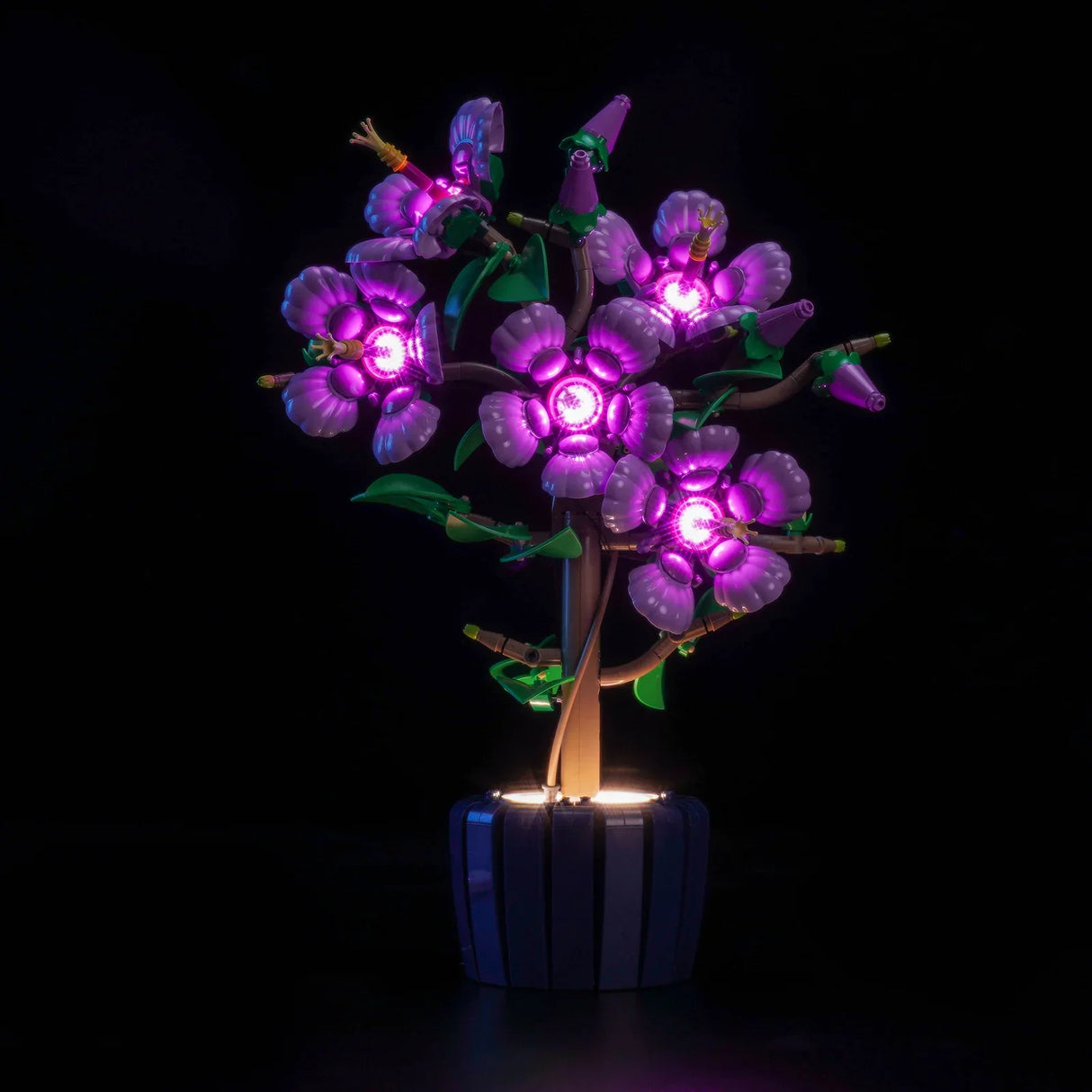 Ensemble de lumières LED pour LEGO Hibiscus (10372)