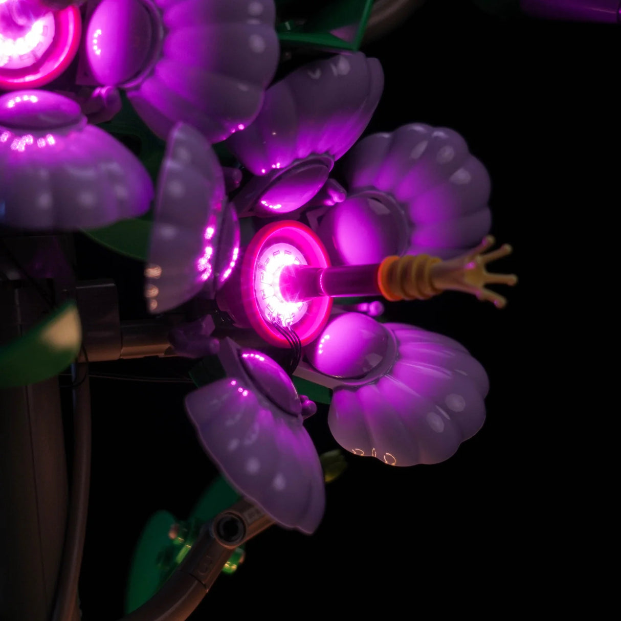 LED Licht Set für LEGO Hibiskus (10372)