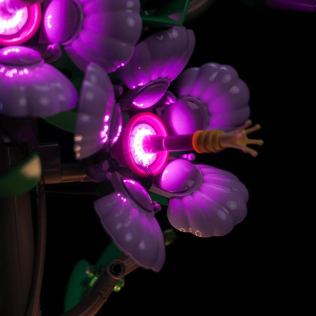 Ensemble de lumières LED pour LEGO Hibiscus (10372)