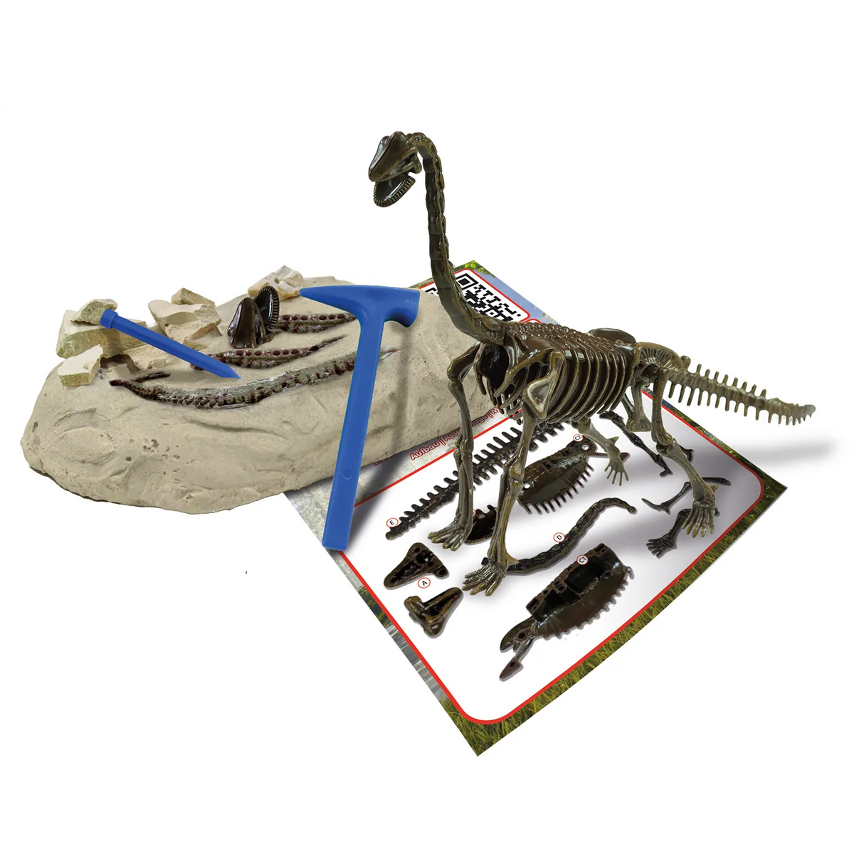 Leuchtender Brachiosaurus - Ausgrabungs-Kit