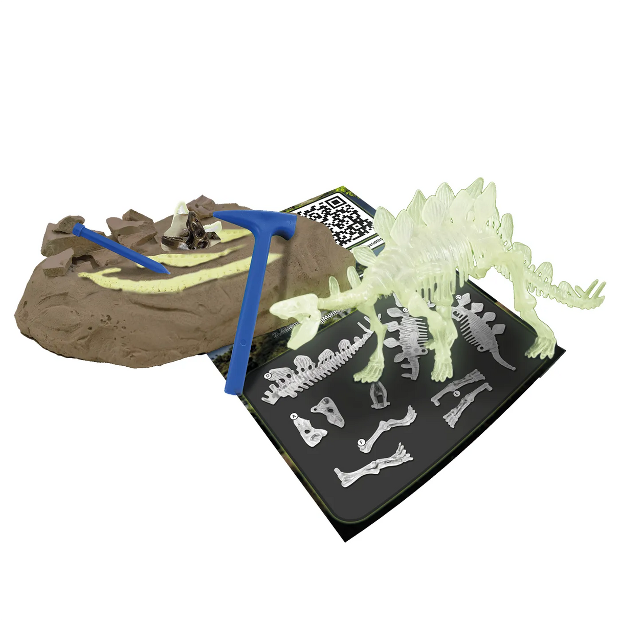 Leuchtender Stegosaurus - Ausgrabungs-Kit
