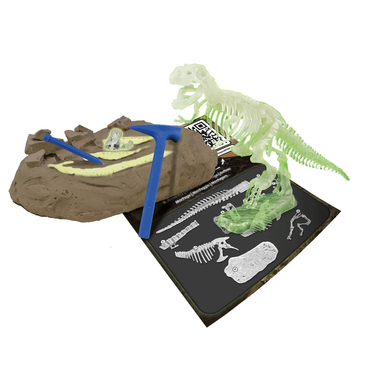Kit de fouilles T-Rex lumineux