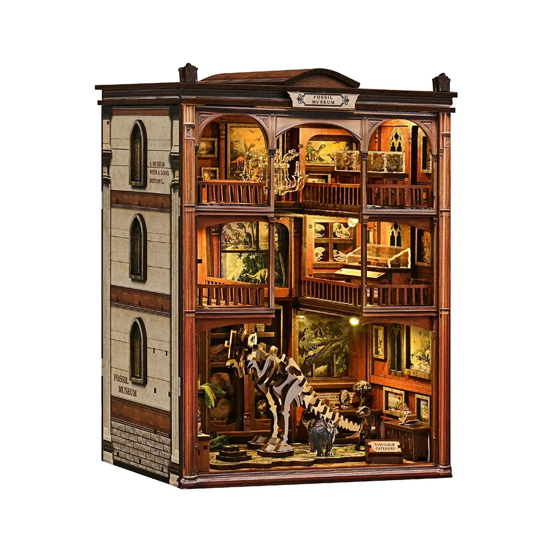 Le musée des fossiles - Book Nook