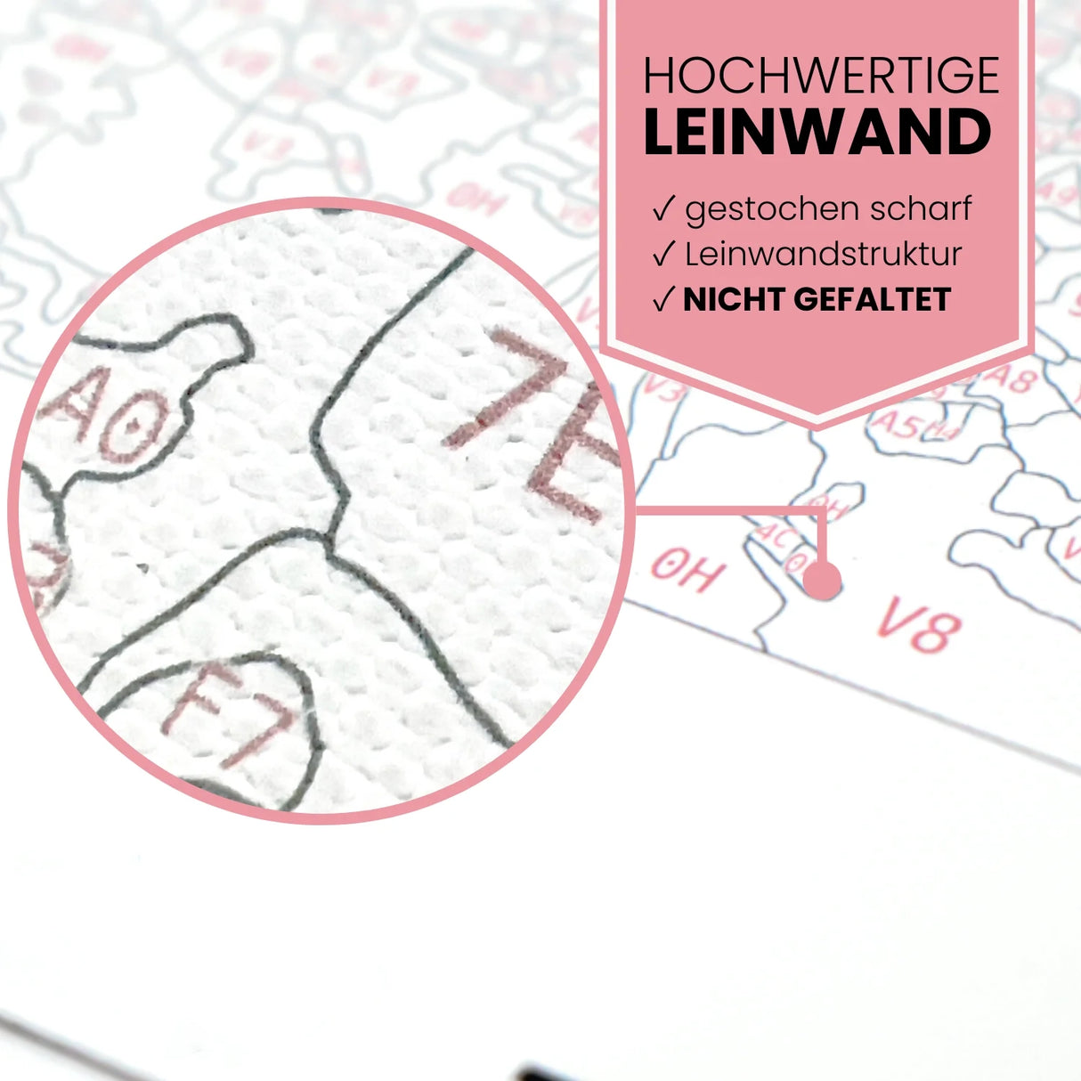 Bunte Koi - Malen nach Zahlen