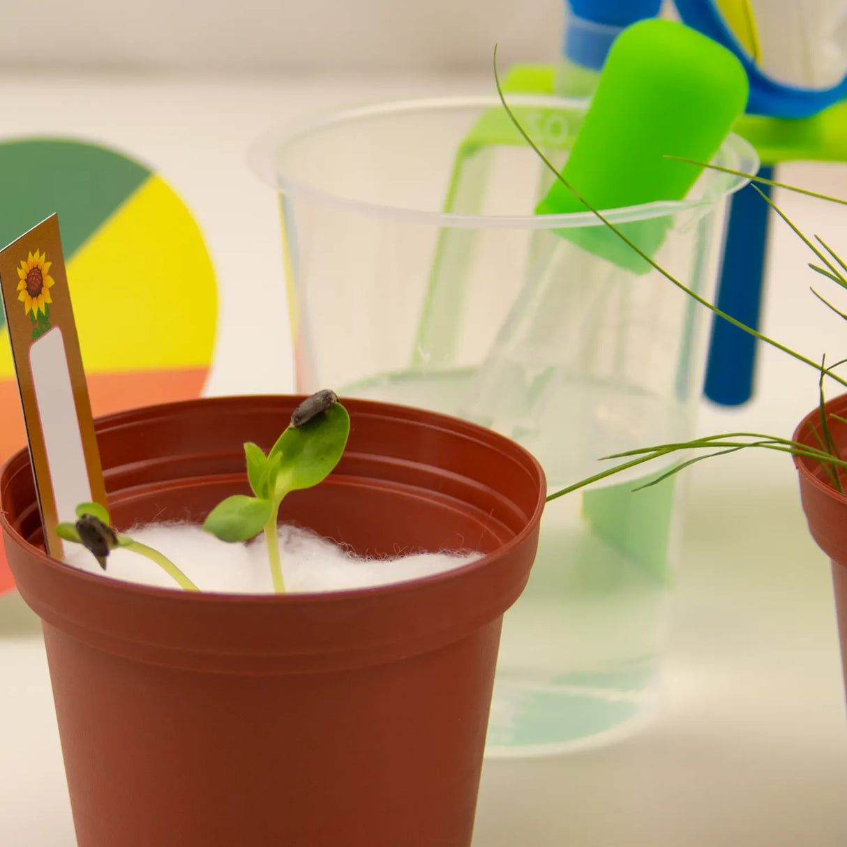 Mein erstes Labor - Experimentierkasten