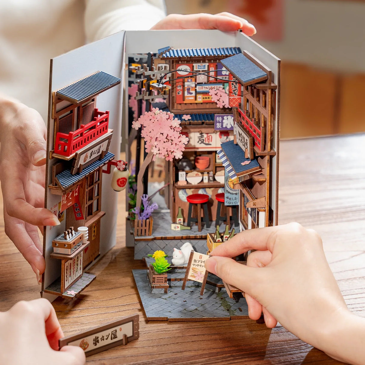 Sakura Wine Alley - Librairie