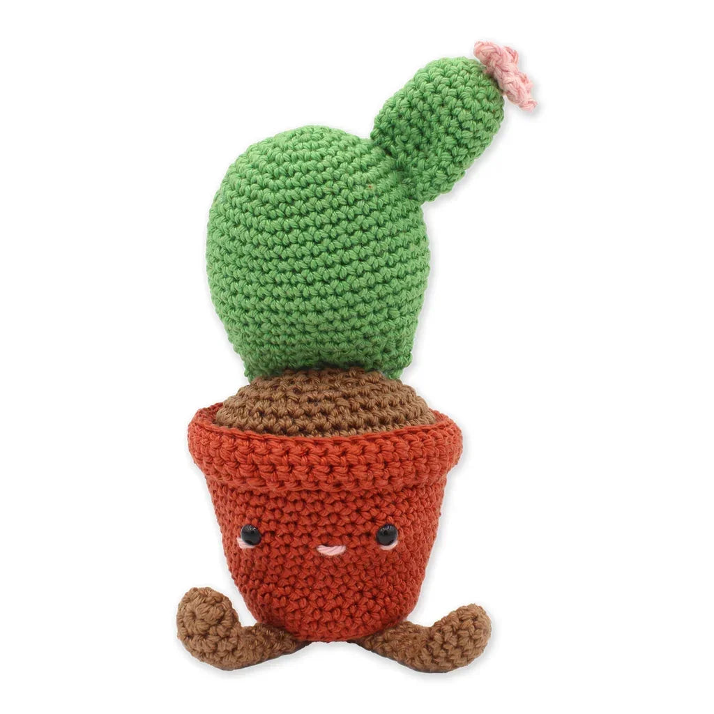 Kit de crochet pour cactus disque