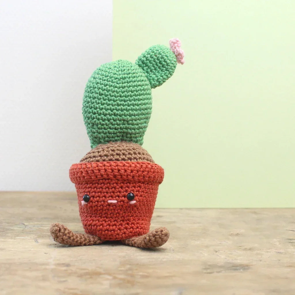 Kit de crochet pour cactus disque