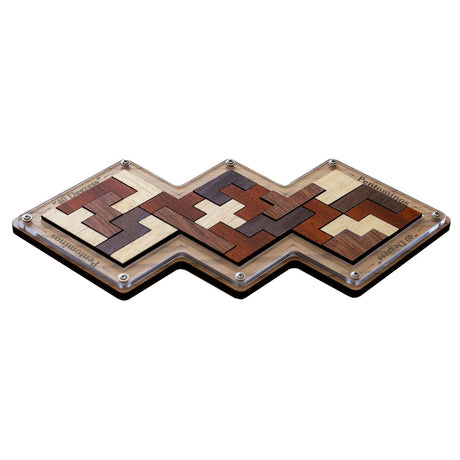 40 degrés (Pentominos) - puzzle de construction