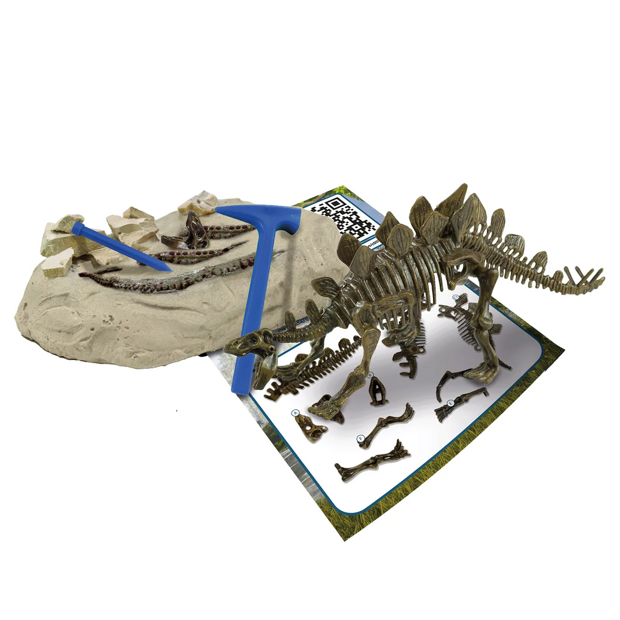 Stegosaurus - Ausgrabungs-Kit