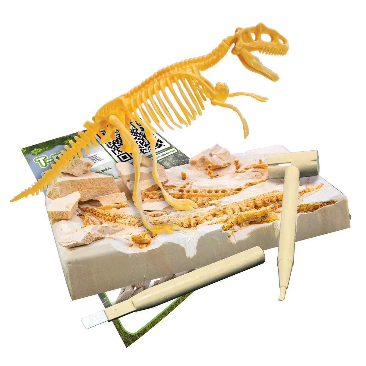 T-Rex - Ausgrabungs-Kit