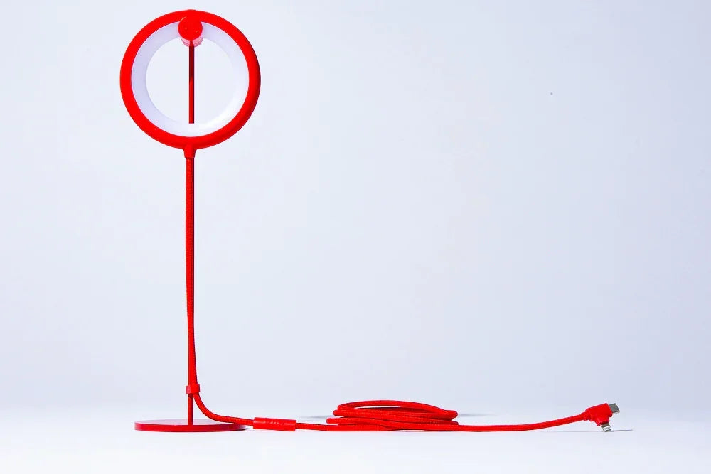 Lampe oiseau avec pied