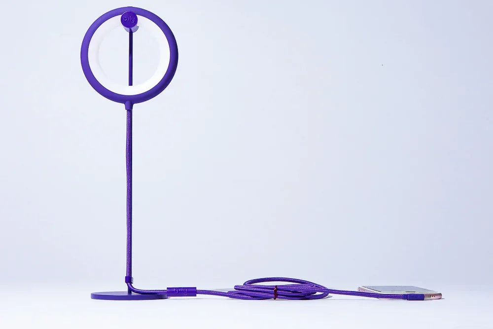 Lampe oiseau avec pied