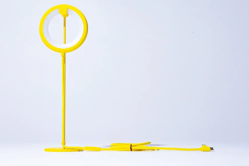 Lampe oiseau avec pied