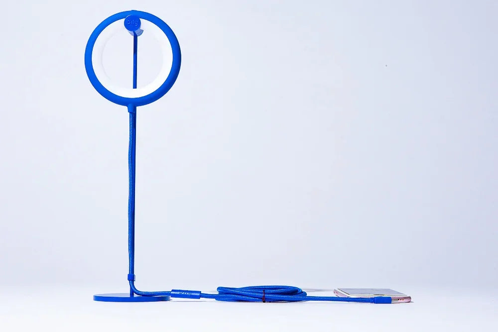 Lampe oiseau avec pied