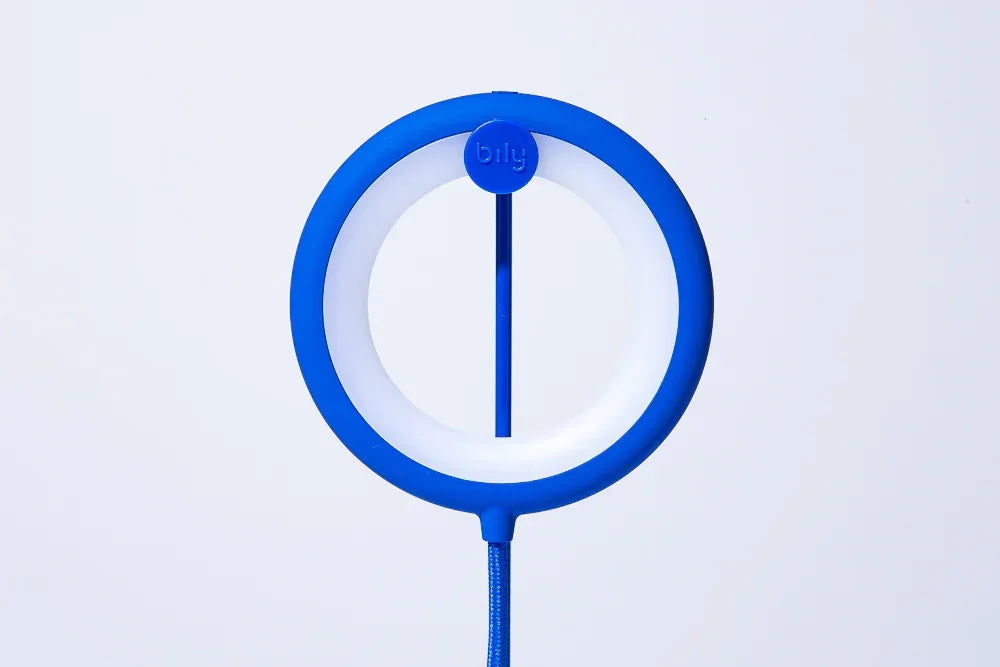 Lampe oiseau avec pied