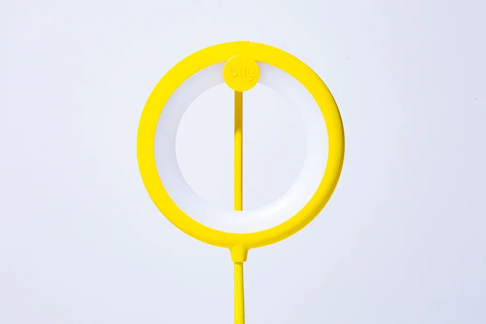 Lampe oiseau avec pied