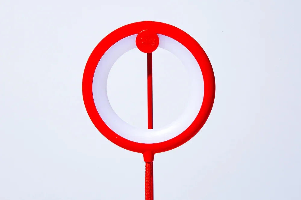 Lampe oiseau avec pied