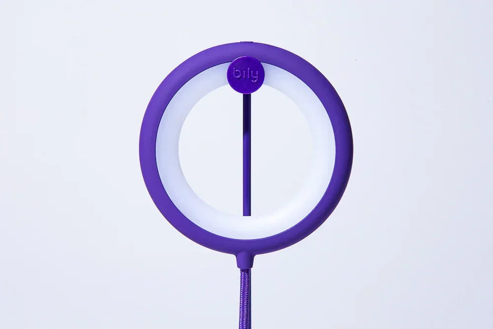 Lampe oiseau avec pied