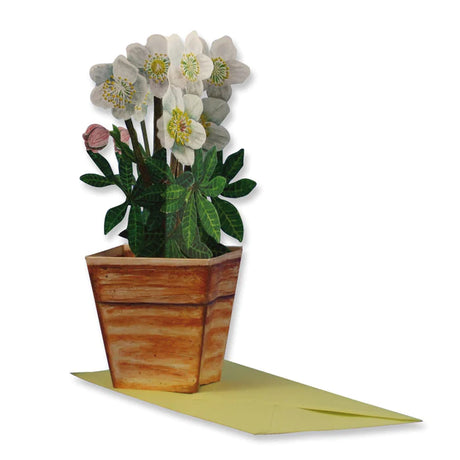 Christrosen - 3D Grusskarte - derdealer.ch