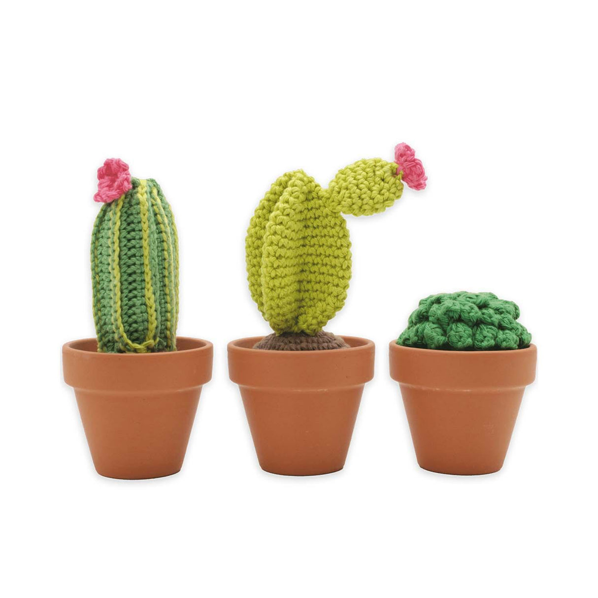 Kakteen - Häkelset - derdealer.ch