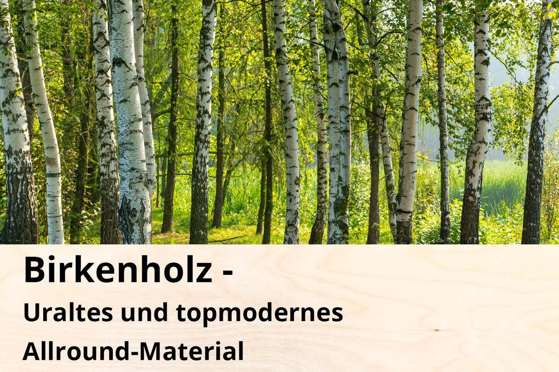 Birkenholz - Uraltes und topmodernes Allround-Material - derdealer.ch