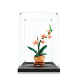 Acryl-Display (20x20x38 cm) - Schaukasten