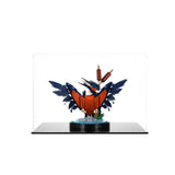 Acryl-Display (40x25x25 cm) - Schaukasten
