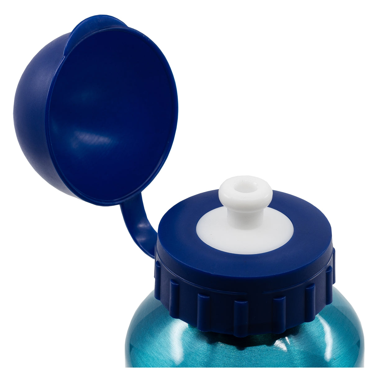 Bluey (400 ml) - Trinkflasche