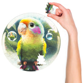 Bubblezz Papagei (30 Teile) - Holzpuzzle für Kinder