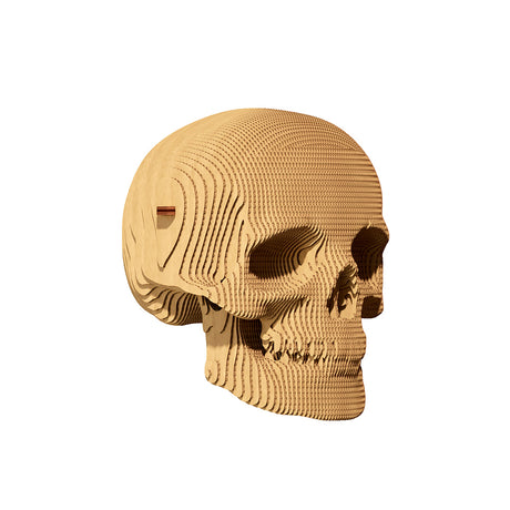 Totenkopf - 3D Modell aus Karton