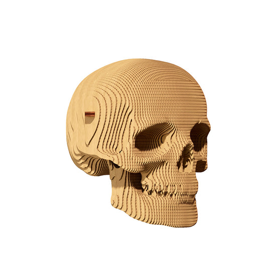 Cartonic - Totenkopf - 3D Modell aus Karton