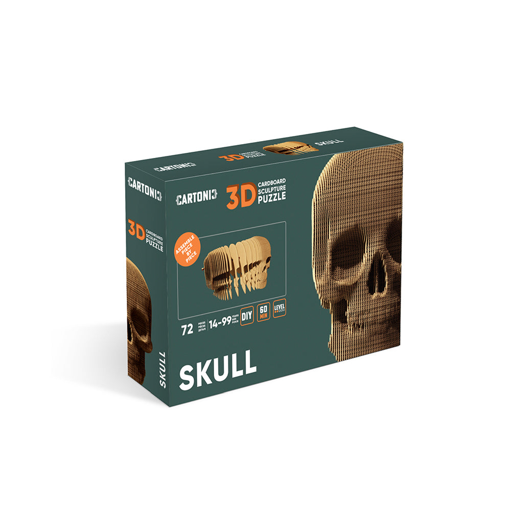 Totenkopf - 3D Modell aus Karton
