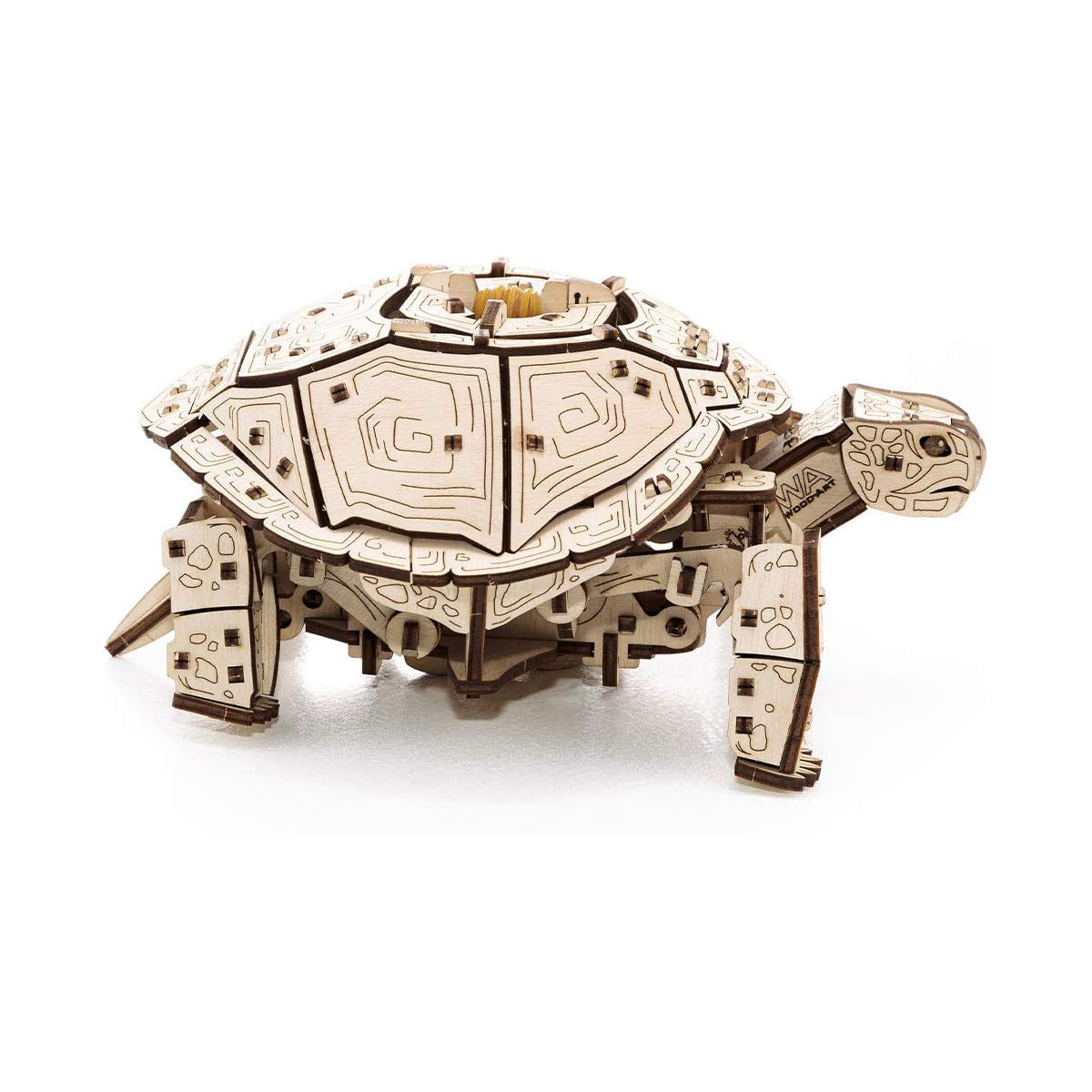Schildkröte - 3D Holzbausatz
