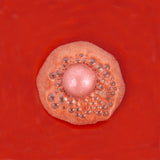 Glühwein - Badebomben