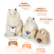 Inkari - Peluche alpaga moyen (32 cm)