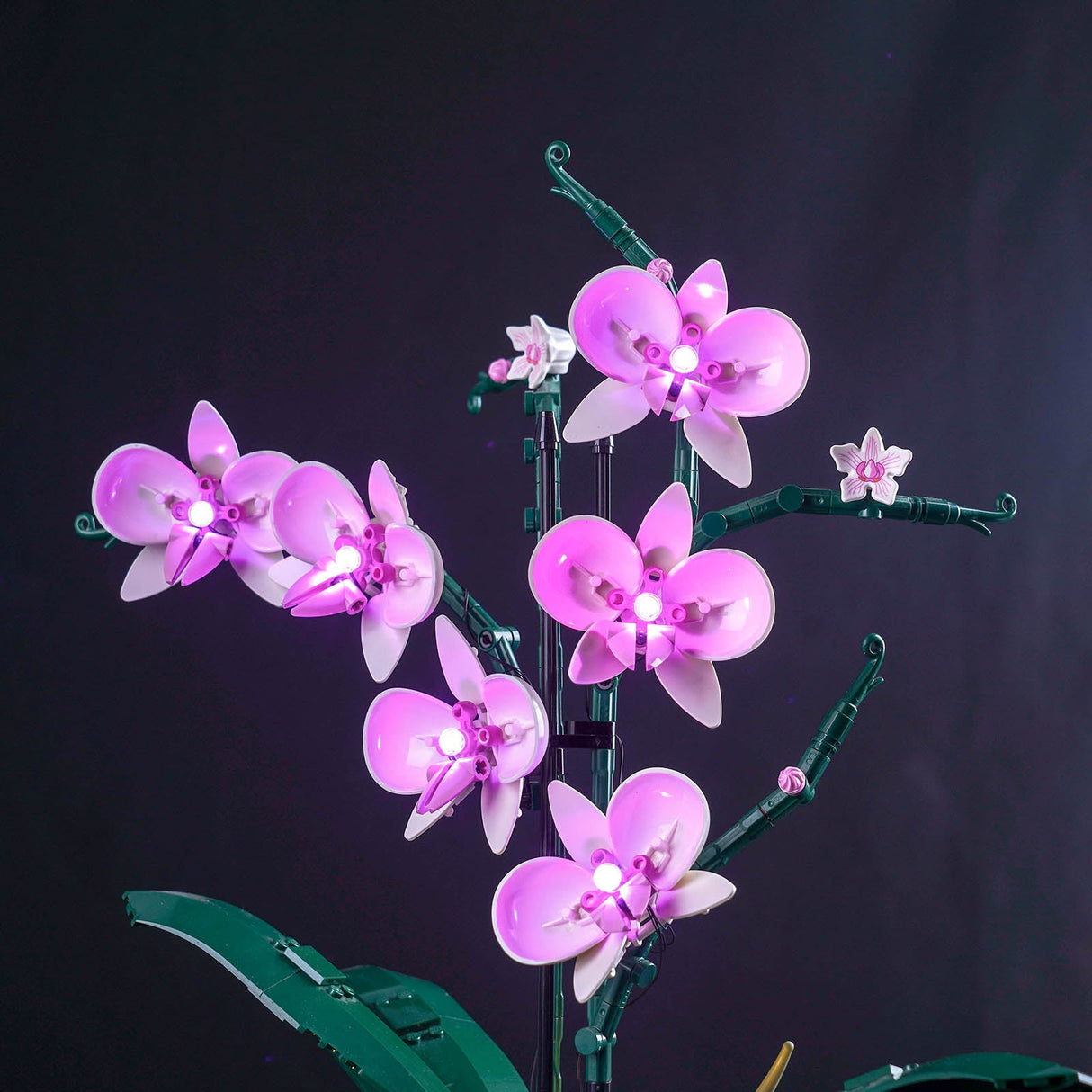 LED Licht Set für LEGO Orchidee (10311)