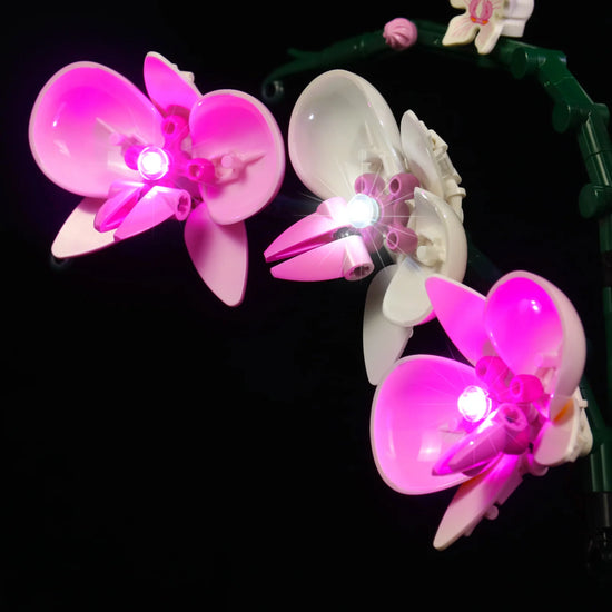 BrickBling - LED Licht Set für LEGO Orchidee V2 (10311)